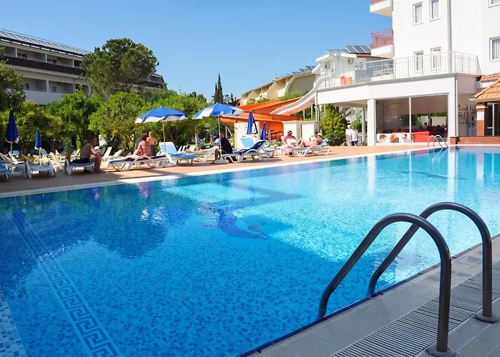 Catty Cats Garden Hotel